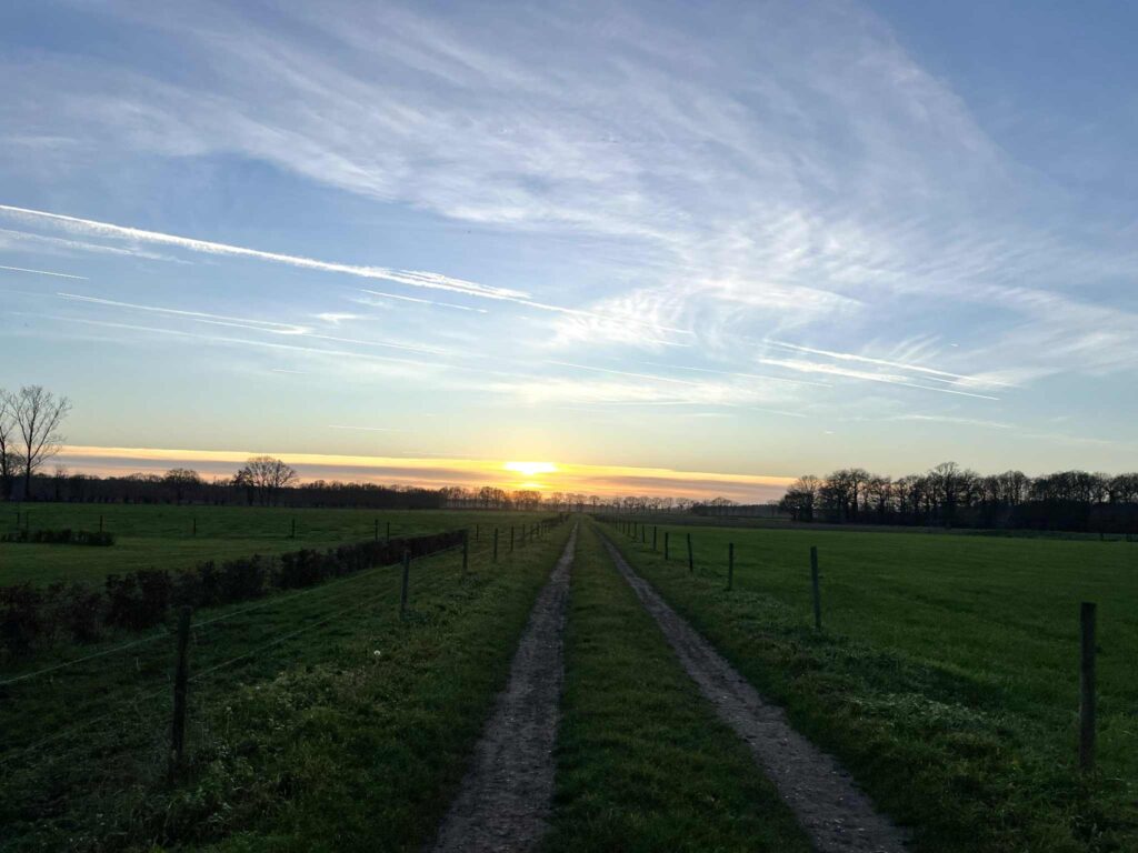 A track in between the fields that is leading to light.