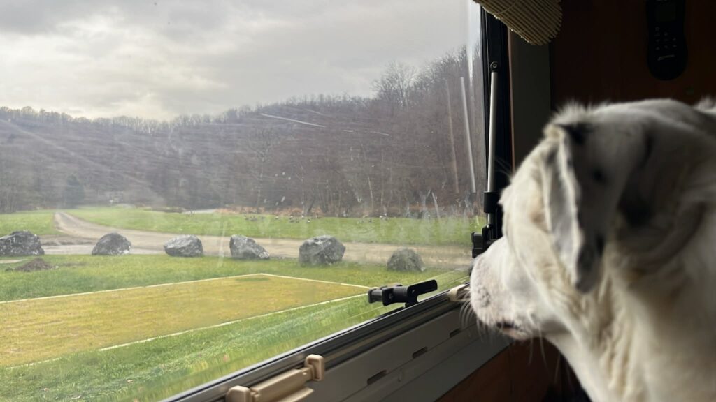 Luke looking out from the campervan window