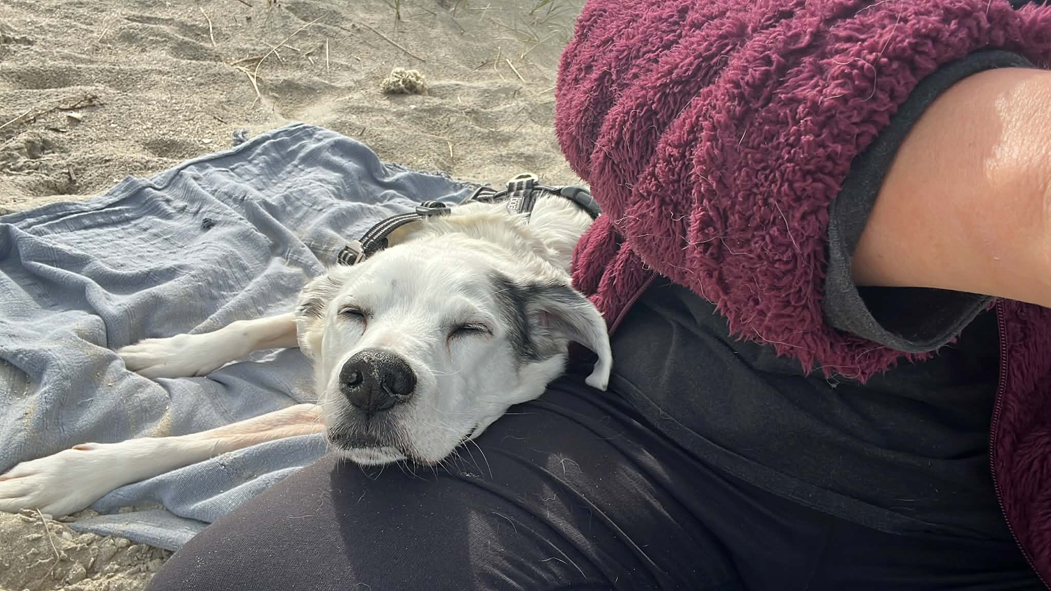 The Feeling of a Day Without Plans