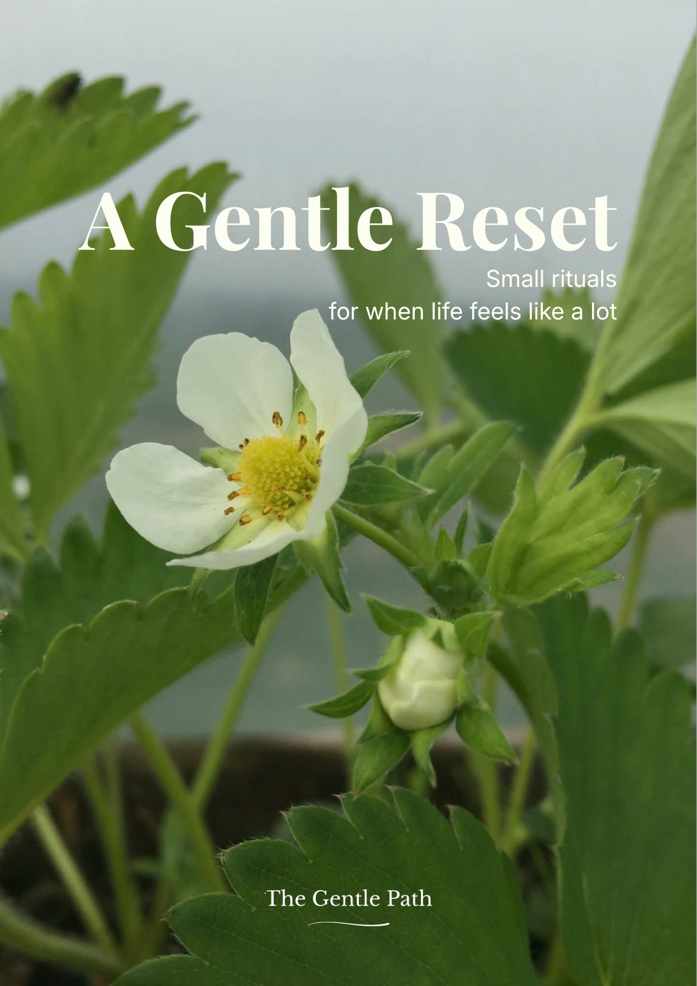 A gentle reset cover of an e-book about small rituals for when life feels like a lot